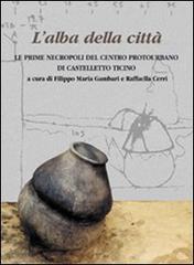 Libreriauniversitaria L'alba della città. Le prime necropoli del centro protourbano di Castelletto Ticino. Ediz. illustrata